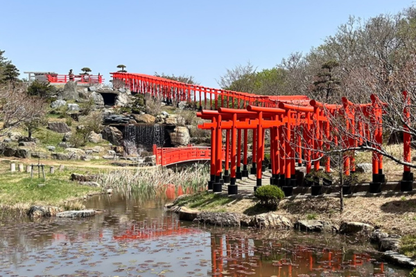 高山稲荷神社の千本鳥居を下から撮影