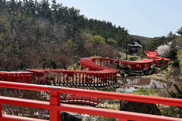 高山稲荷神社の千本鳥居を上から撮影