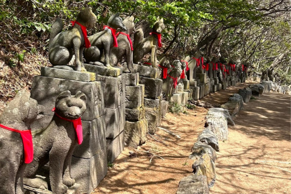 高山稲荷神社のきつねの石像群