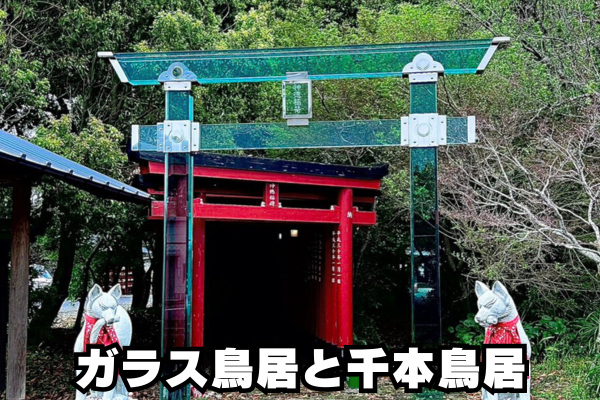 ガラス鳥居と千本鳥居の画像