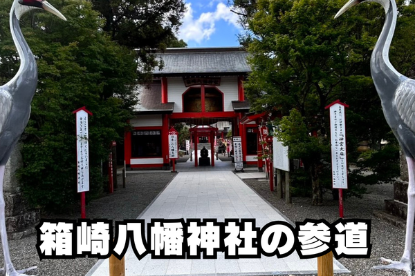 出水市箱崎八幡神社の参道